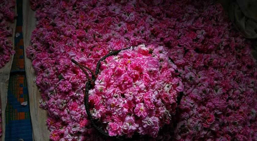 ROSES HOUSE OMAN photo