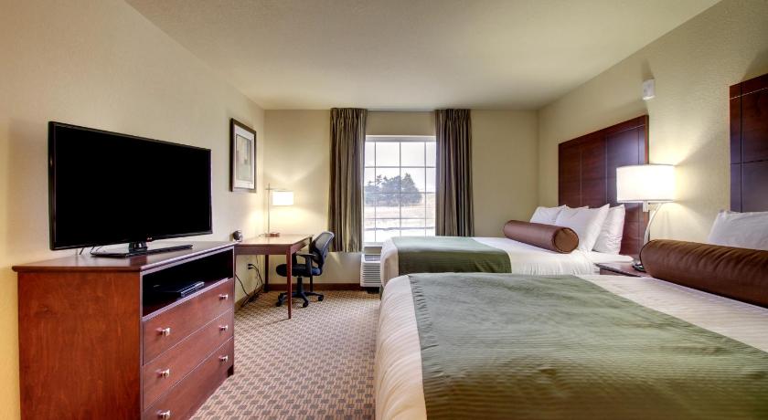 Cobblestone Inn & Suites - Steele photo