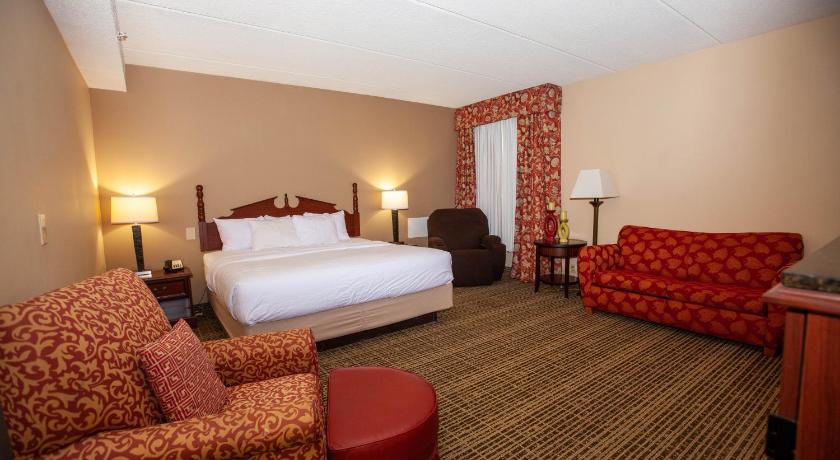 Image of Deluxe King Apartment Suite - Non-Smoking 0