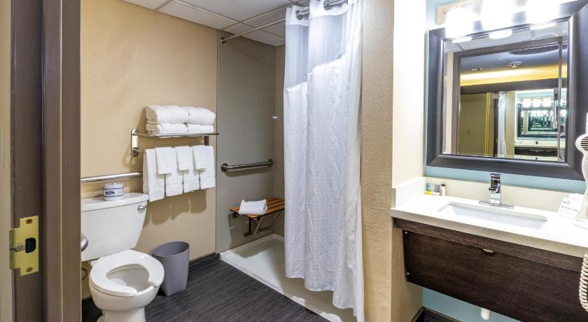 1 King Suite Communications Accessible Roll-in Shower fotója 2