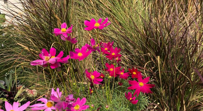 사깨오 Sonne resort ซอนเนอ รีสอร์ต 3성급 호텔 로비