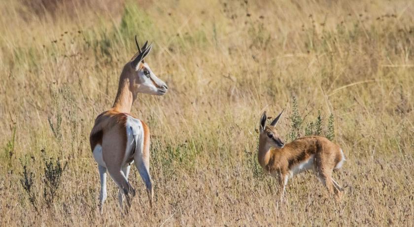 Kwetu Guest Farm photo