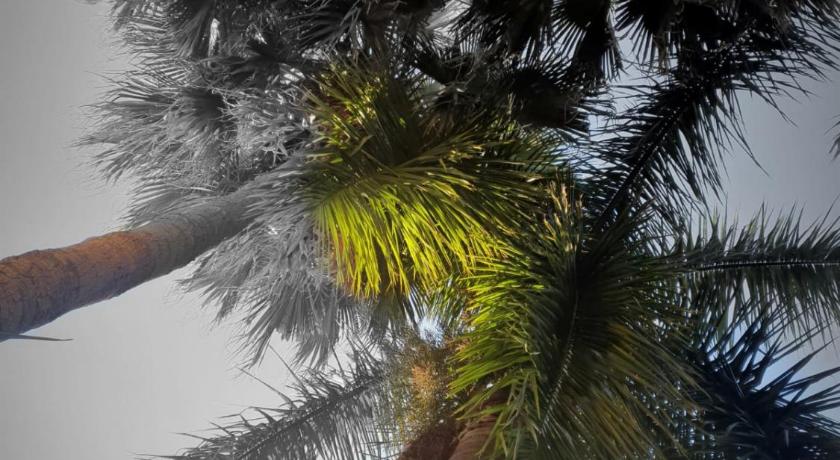 @ SILVER PALMS LODGE photo