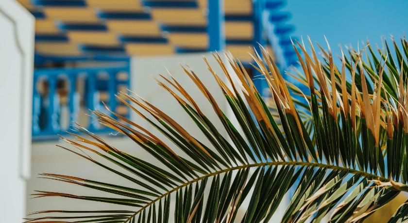 Vithos Seaside Aparthotel photo