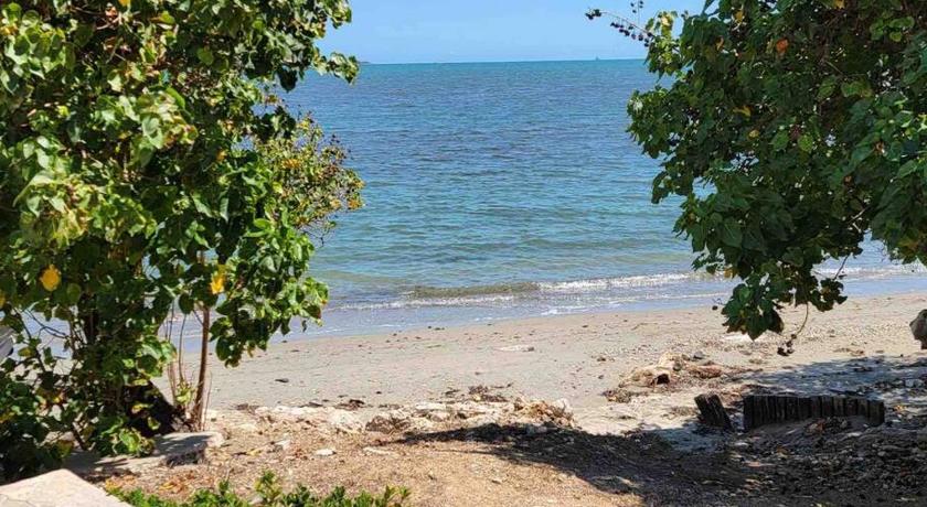 5 star by the sea (oceanview) photo