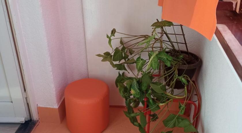 Apartman Rose photo