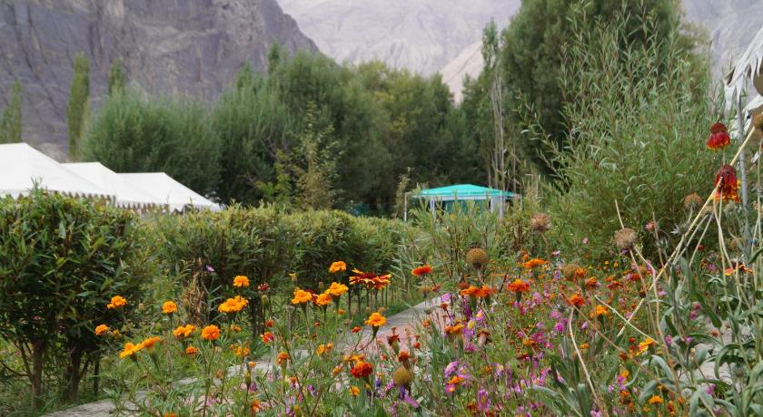 Paramount Camp photo