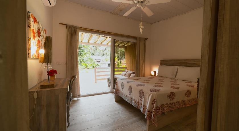 Sonora Jungle & Yoga Retreat photo