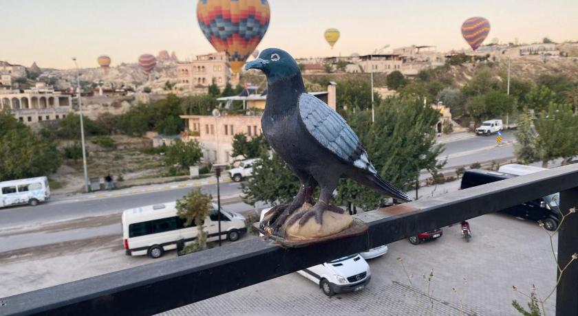 Adventure Inn Cappadocia photo