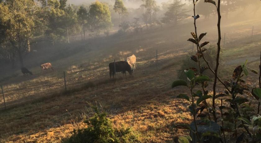 Springmead B&amp;B — Hotel in Blue Mountains