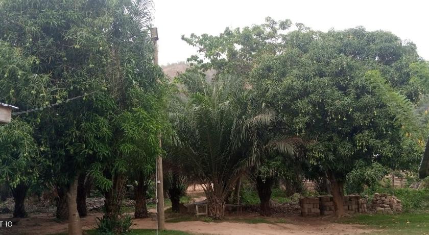 Wli Waterfalls Inn photo