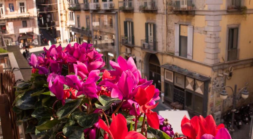 a row of flowers in a flower pot on a city street, Home&More b&b in Naples