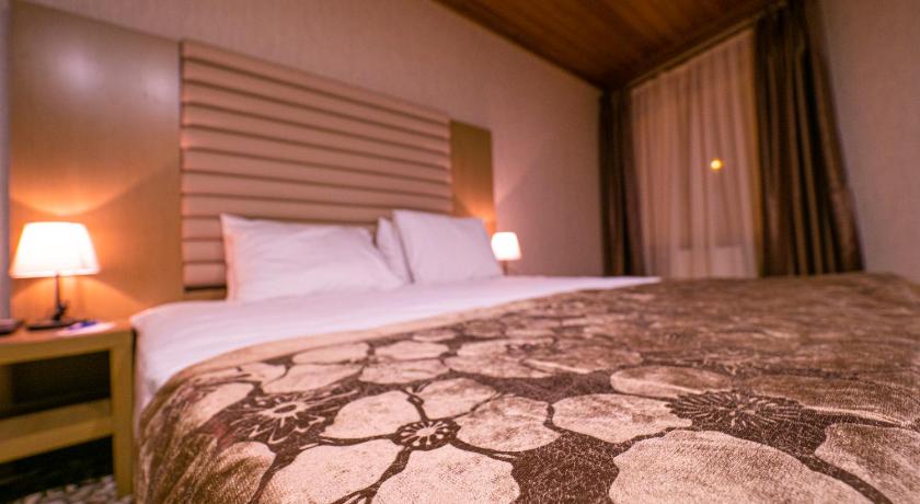 Balsoy Mountain Hotel photo