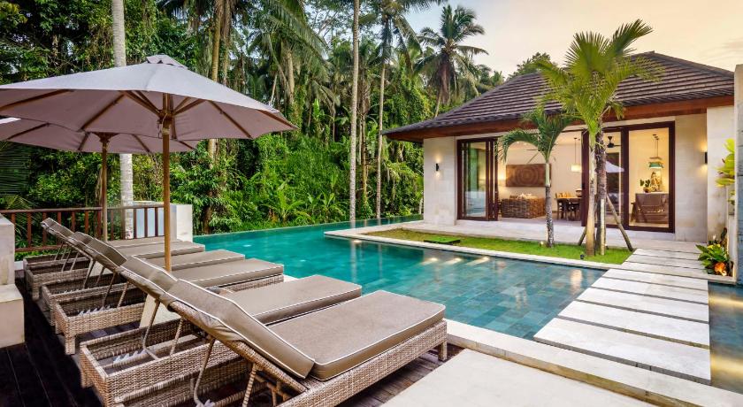 La Jungle Villa photo