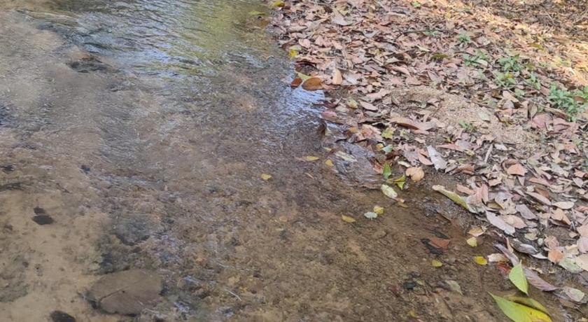 哈桑 Meeslu Mane, The Chic HomeStay 4星级 民宿 餐厅