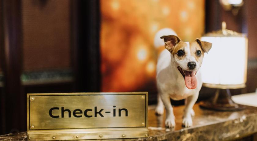 a dog standing next to a sign on a wooden table, Sofitel Philippine Plaza Manila (Staycation and Multi-use Hotel) in Manila
