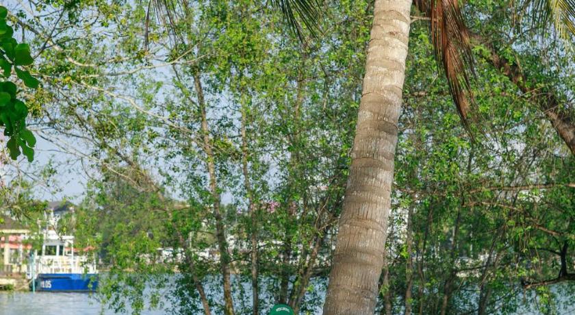 Sleepbox Hostel Suratthani photo