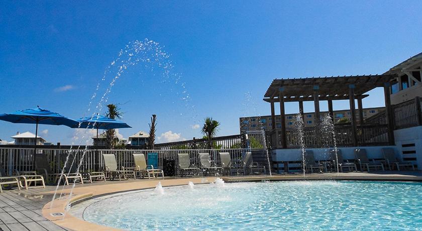 Destin Dolphin photo