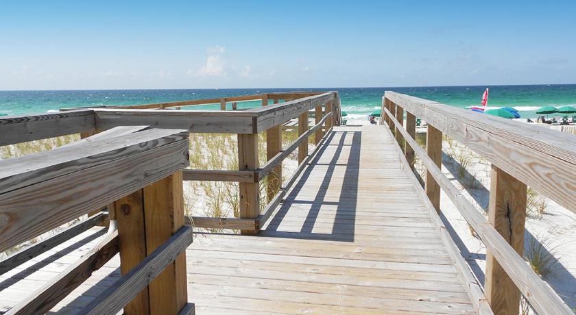 Destin Dolphin photo