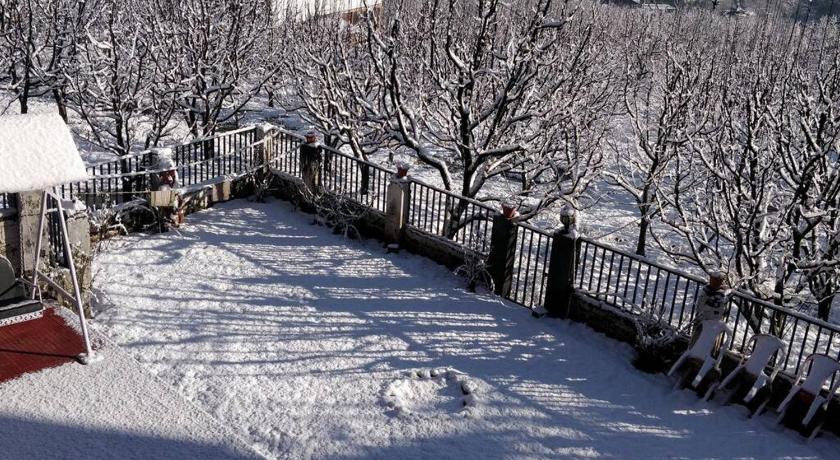 Aromataruvilla/ cottage manali - image 40