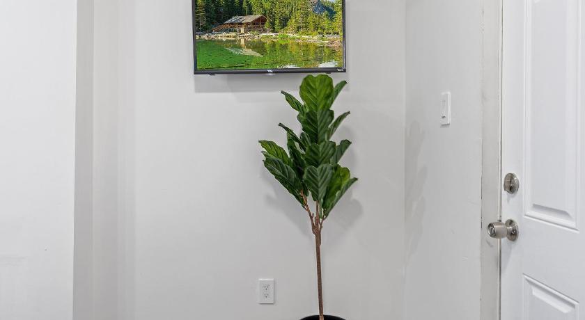 Summer Breeze Luxury Stays photo