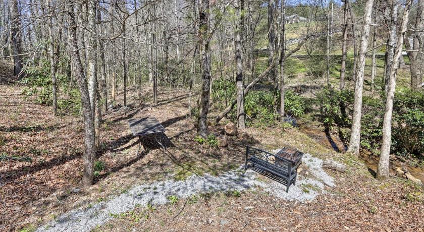 Mountain Getaway with Pond, Grill, and 2 Fire Pits! photo