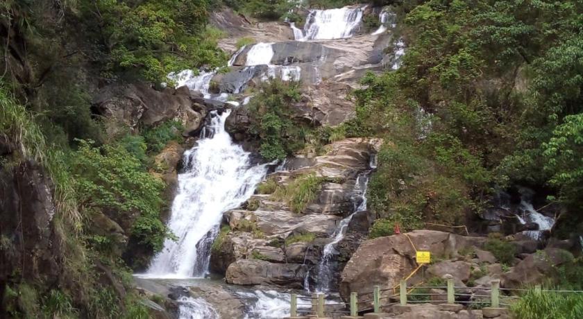 Piumi Tour & guest house photo