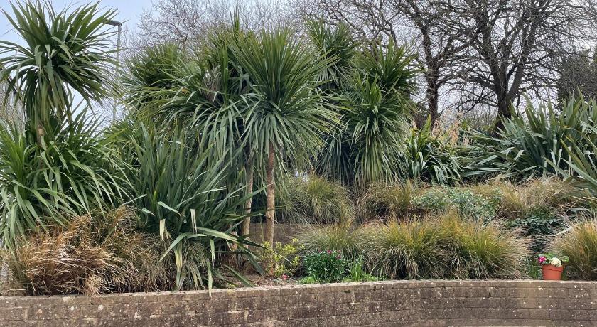 プリマス ISLAND LODGE Since 1835 Barbican, Free Limited Parking, Perfect for Ferry terminal 4つ星 ホテル プール