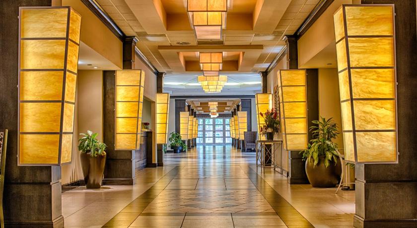 Hotel Capstone photo