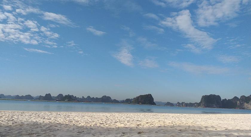 Ha Long Lily Homestay photo