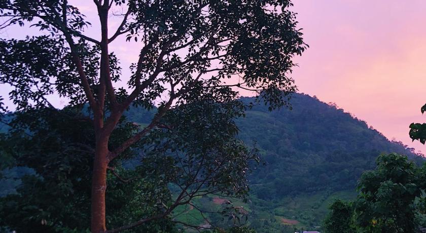 The Flykt Homestay photo