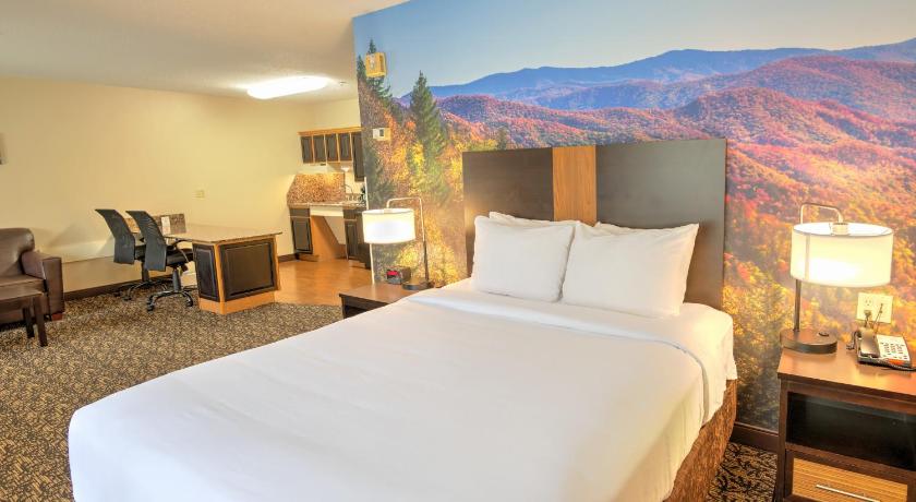 Image of 1 Queen Bed, Suite, Nonsmoking, Accessible 0