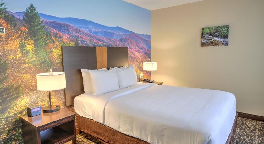 Image of 1 Queen Bed, Suite, Nonsmoking, Accessible 1
