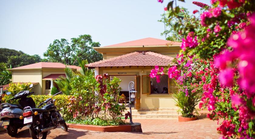 Cochichos Resort photo