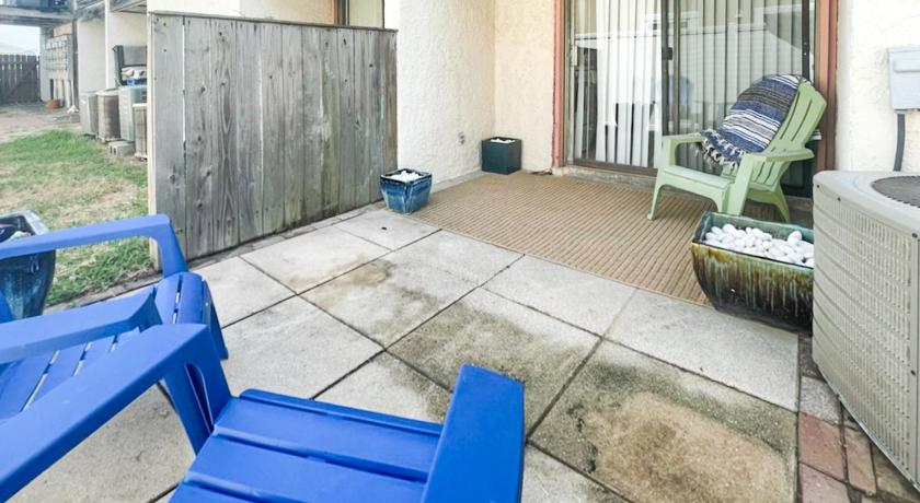 Sand Dollar #5 photo