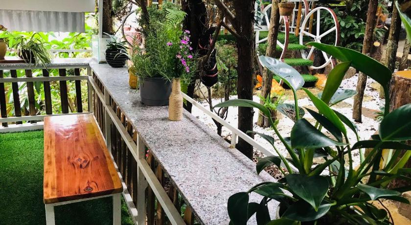 Homestay VuonTung (Pine Garden) - image 13
