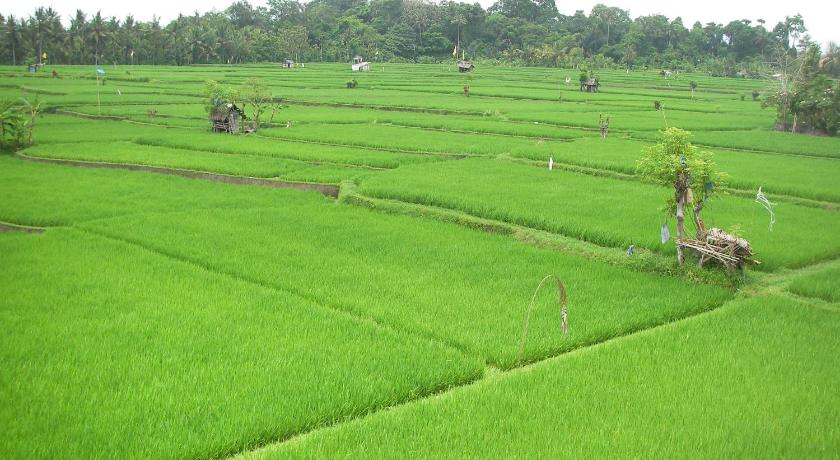 Green Field Hotel Ubud