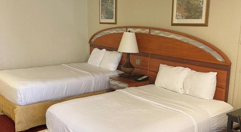 Quality Inn Orlando-Near Universal Blvd. photo