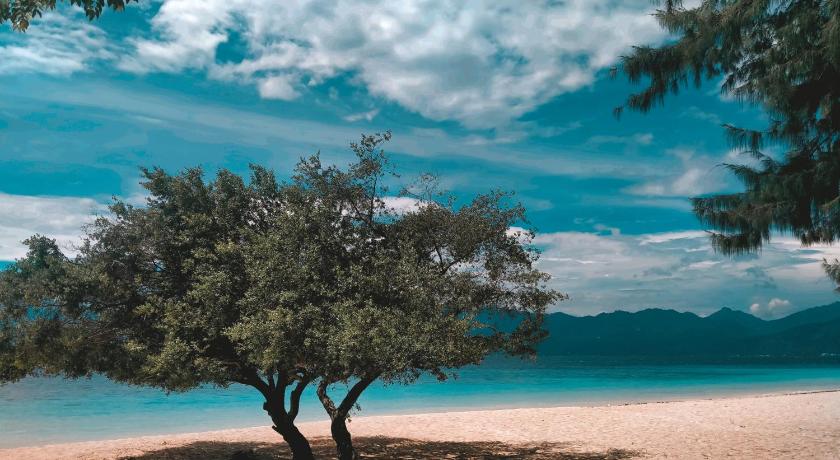 a tree on a beach with a sky background, Villa Sea La Vie in Lombok