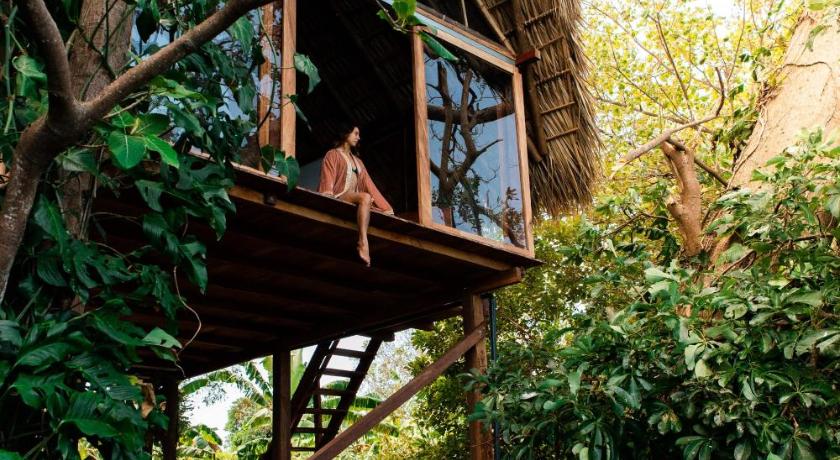 El Pital, Chocolate Paradise photo