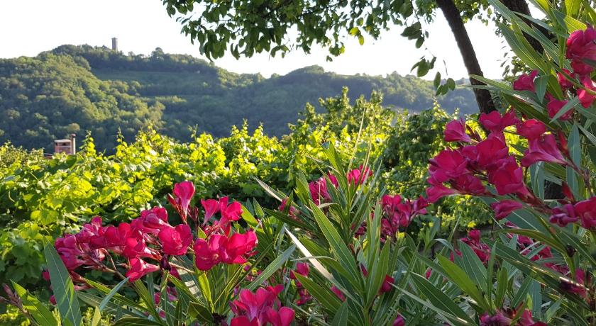Valentina Guest House at Pintar Wine Estate photo