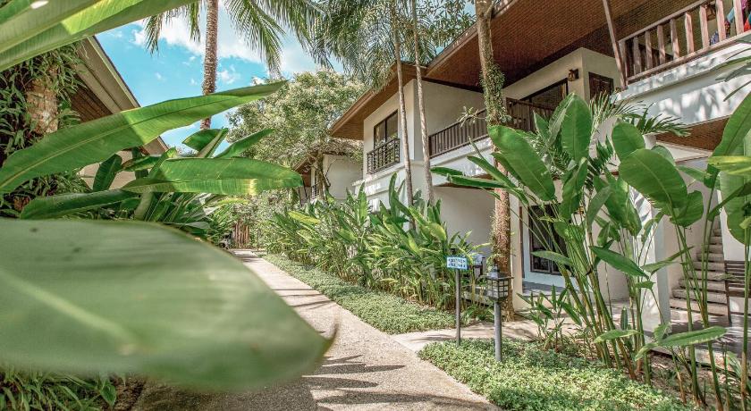 Image of Sea Turtle Suite 7