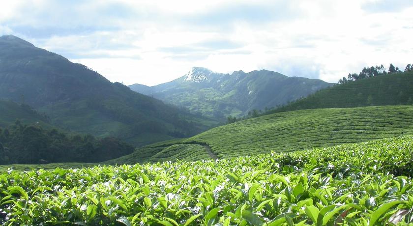 Mistica Munnar photo
