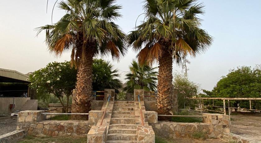 UAE farm photo