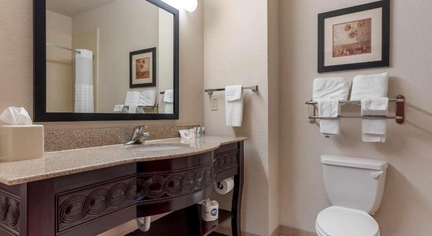 Comfort Inn & Suites Denison Lake - Texoma - image 11