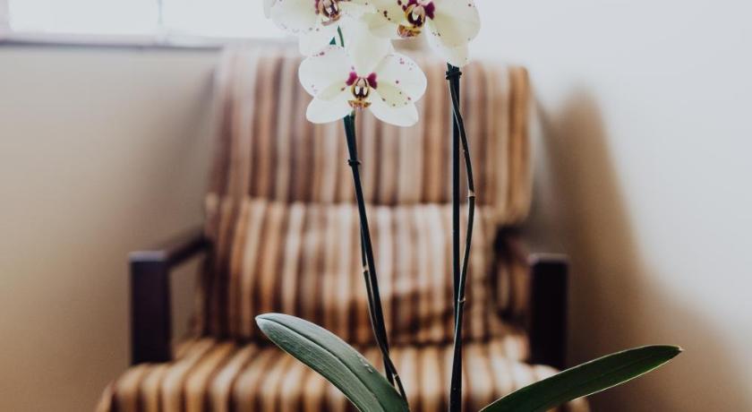 Image of Junior Suite 14