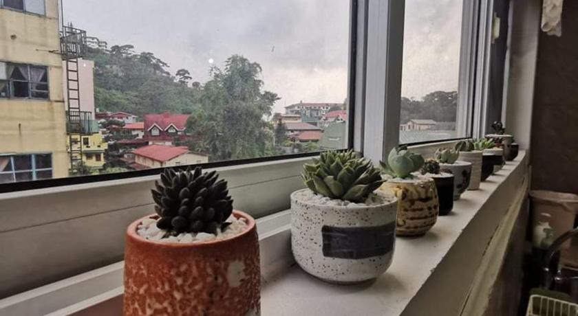 Comfy Dwelling photo