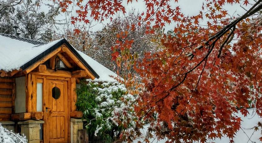 Blue Bird House — Hotel in San Carlos de Bariloche