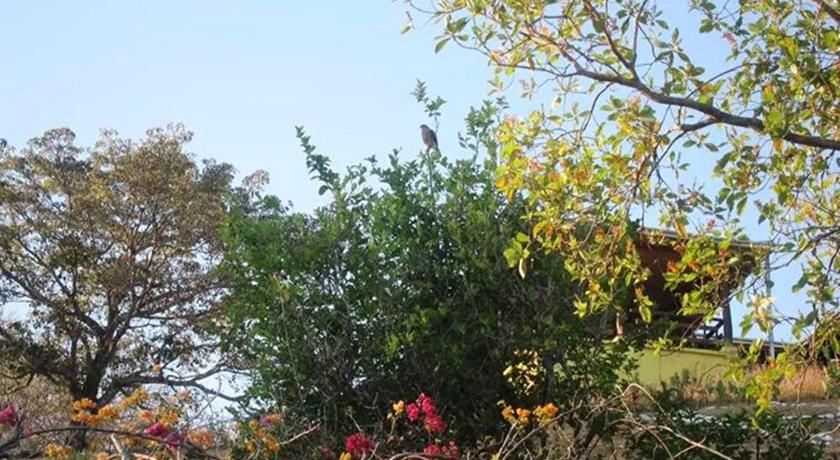 Pacific Bay Resort photo