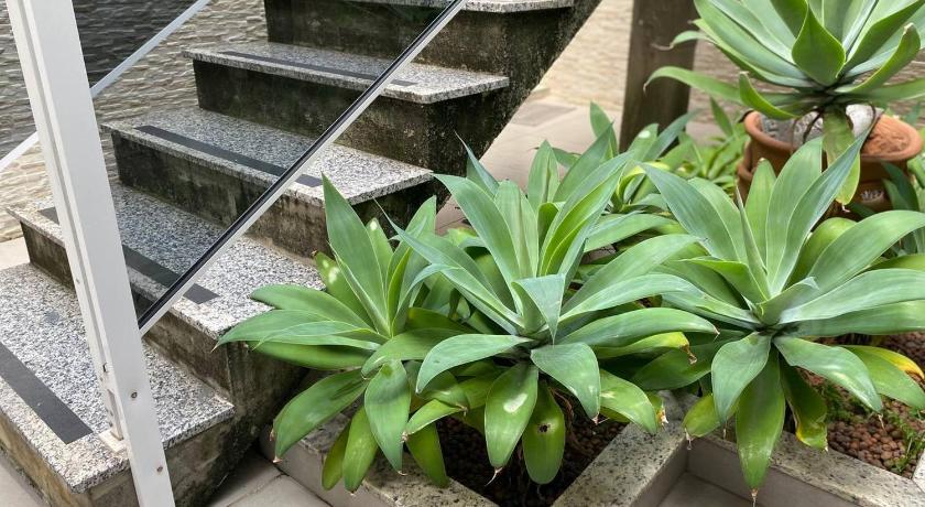 Vina Rio photo